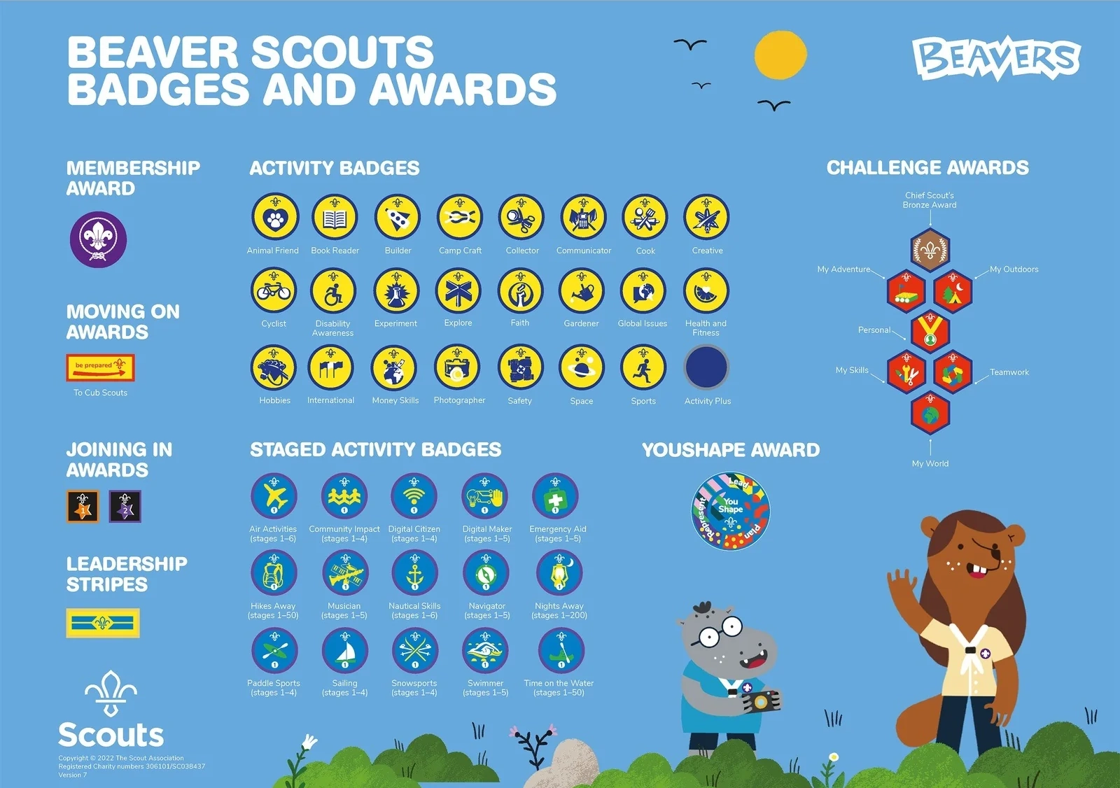 Beavers Badges